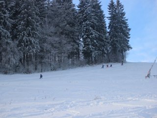 2016 Polanka