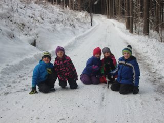 2016 Polanka