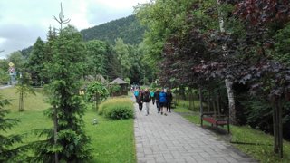 2017 Orava