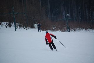 2017 Polanka