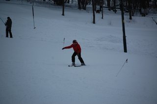 2017 Polanka