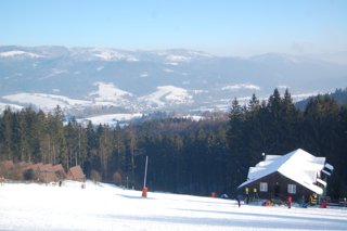 2017 Polanka