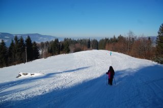 2017 Polanka