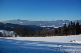 2017 Polanka