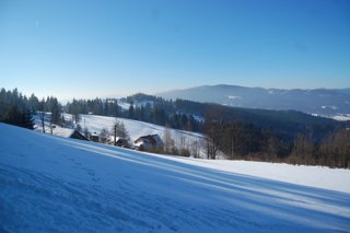 2017 Polanka