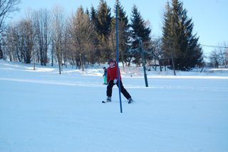 2017 Polanka