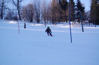 2017 Polanka