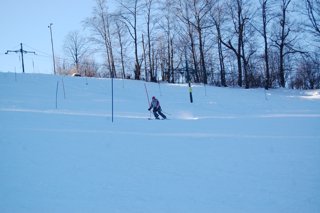 2017 Polanka