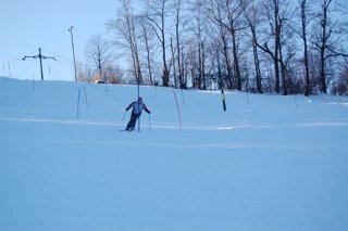 2017 Polanka