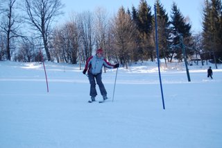 2017 Polanka