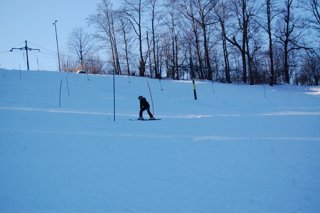 2017 Polanka
