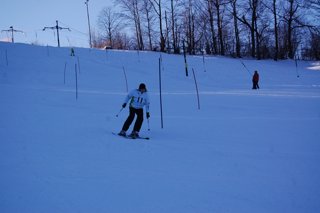 2017 Polanka