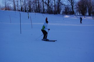 2017 Polanka