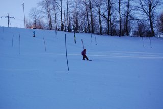 2017 Polanka