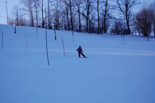 2017 Polanka
