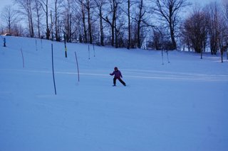 2017 Polanka