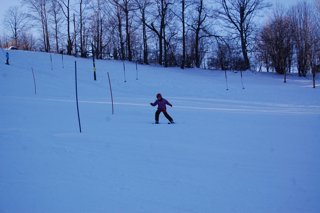 2017 Polanka