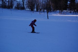 2017 Polanka