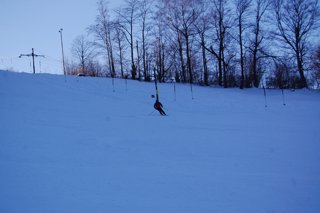 2017 Polanka