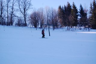 2017 Polanka