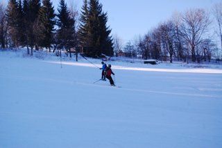 2017 Polanka