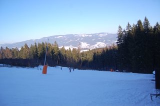 2017 Polanka