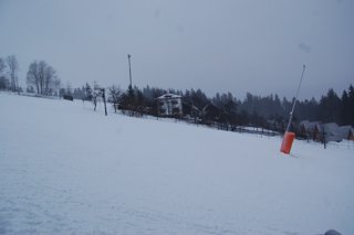 2017 Polanka
