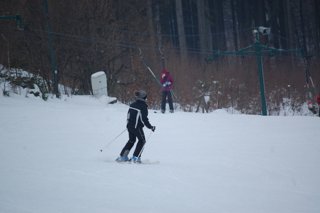 2017 Polanka