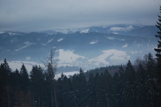 2017 Polanka