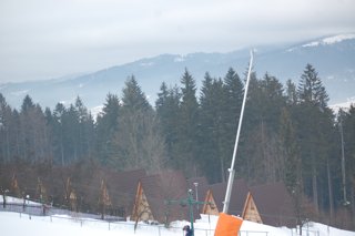 2017 Polanka