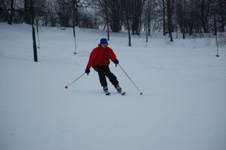 2017 Polanka