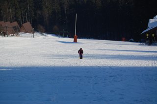 2017 Polanka