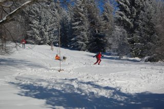 2017 Polanka