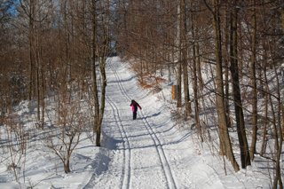 2017 Polanka
