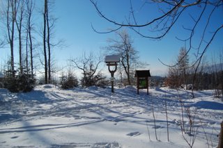 2017 Polanka
