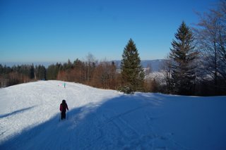 2017 Polanka