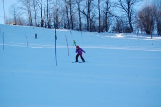 2017 Polanka