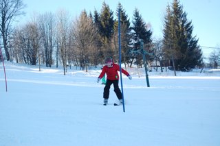 2017 Polanka