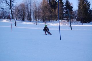 2017 Polanka