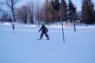 2017 Polanka