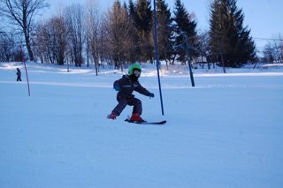 2017 Polanka