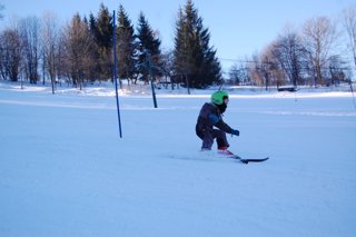 2017 Polanka