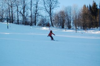 2017 Polanka