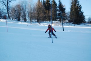 2017 Polanka