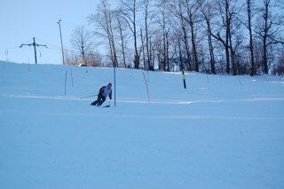 2017 Polanka