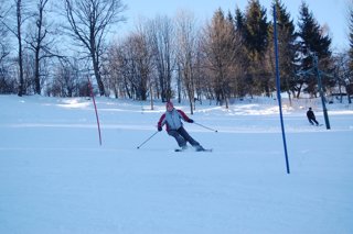 2017 Polanka