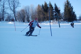 2017 Polanka