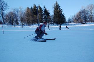 2017 Polanka