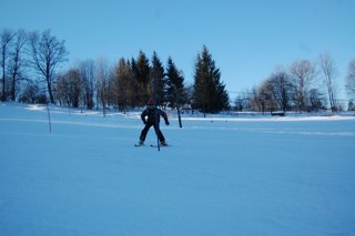 2017 Polanka
