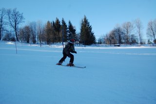 2017 Polanka